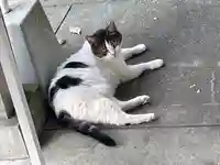 皇大神宮(烏森神社)(神奈川県)