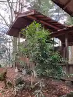 霧ヶ城龍神社の本殿・本堂