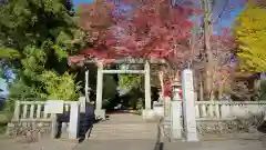 塩竈神社の鳥居