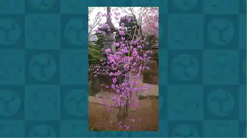 密藏院(埼玉県)