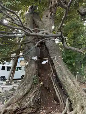 九重神社(埼玉県)