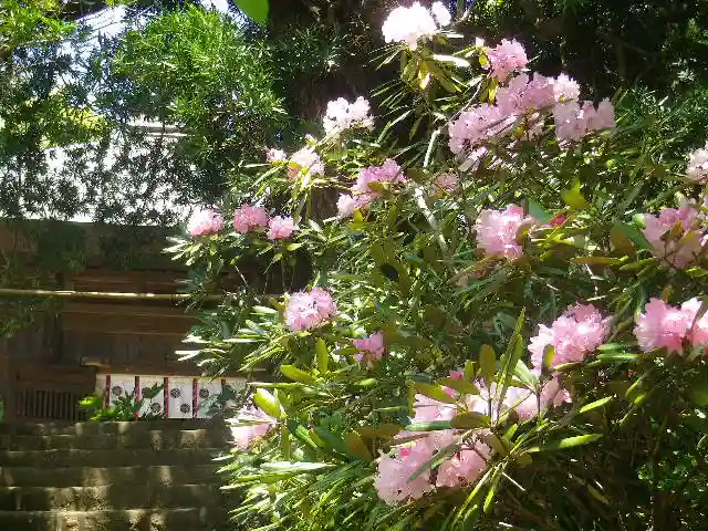浄光明寺の自然