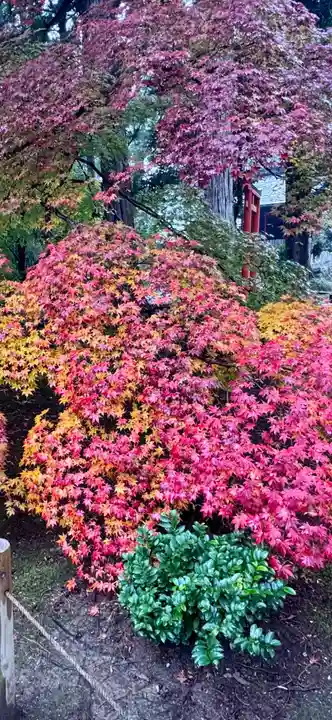 鹿王院(京都府)