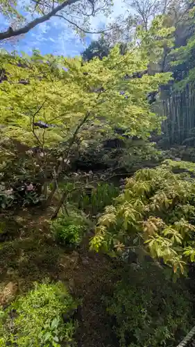 圓光寺(京都府)