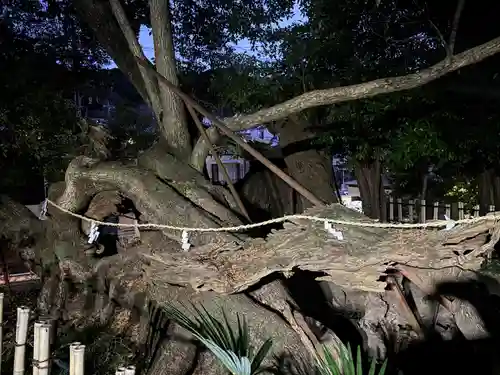 草薙神社(静岡県)