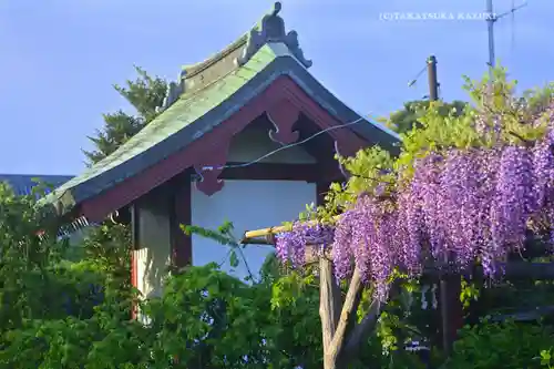 亀戸天神社(東京都)