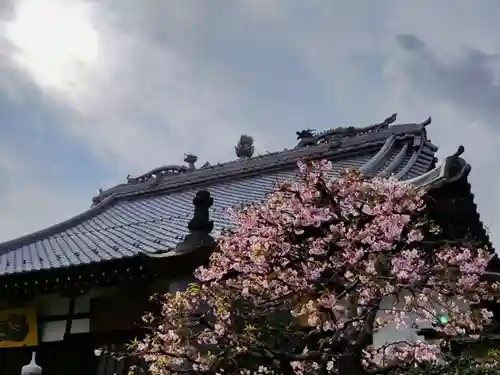 長善寺(東京都)