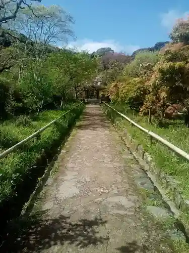 浄瑠璃寺の山門