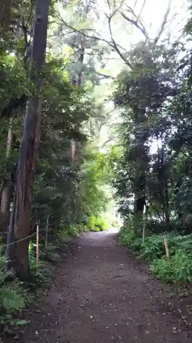 鷲宮神社の自然