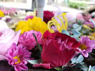 鳩森八幡神社の手水舎