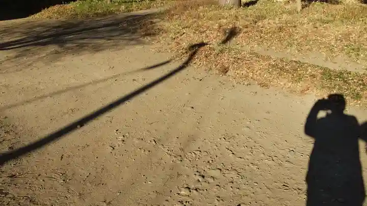 酒門神社(茨城県)