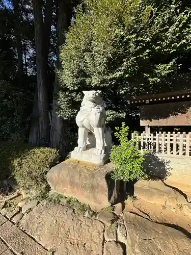 駒木諏訪神社の狛犬