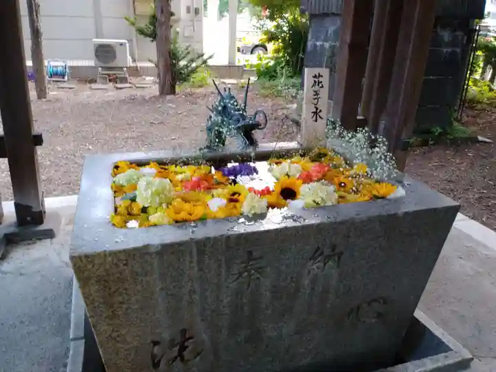 札幌諏訪神社の手水舎