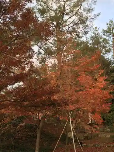 高台寺（高台寿聖禅寺・高臺寺）(京都府)