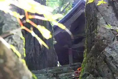 琴彈山神社の本殿・本堂