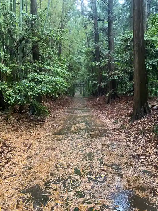 胎安神社(茨城県)