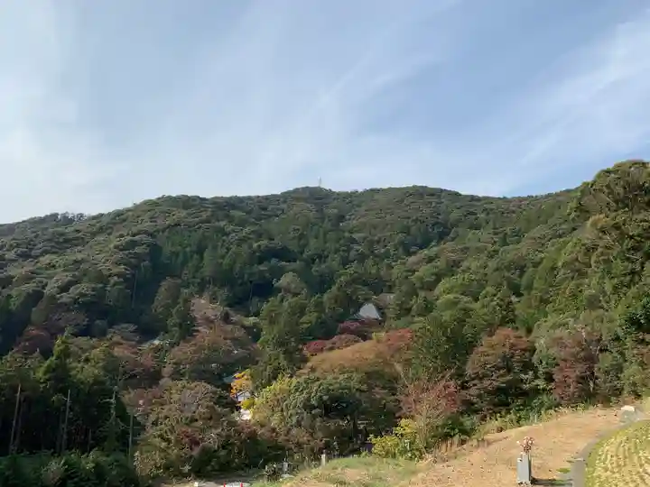 普門寺(切り絵御朱印発祥の寺)の景色