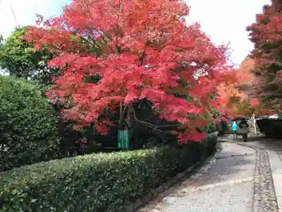 龍安寺(京都府)
