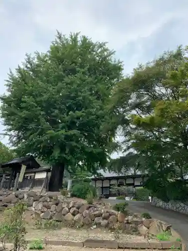 金剛寺(茨城県)
