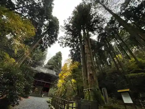 御岩神社の建物その他