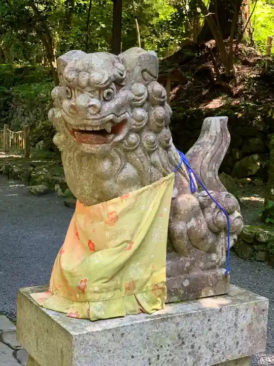 貴船神社奥宮の狛犬