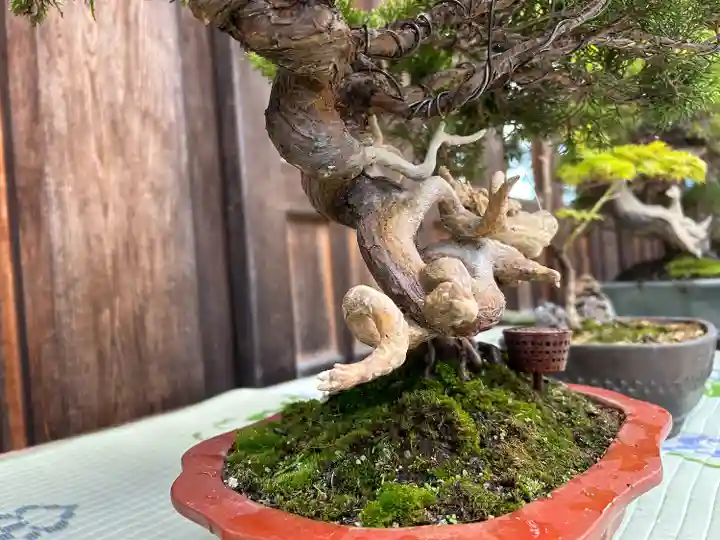 穂高神社本宮(長野県)
