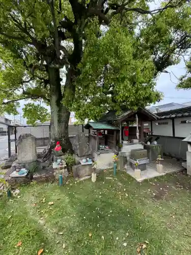 清学寺の{uncategorized: "未分類", other: "その他", undefined: "問題あり", building: "その他建物", grave: "お墓", sacred_gate: "鳥居", guardian: "狛犬", statue: "像", buddha: "仏像", history: "歴史", nature: "自然", garden: "庭園", animal: "動物", pagoda: "塔", temizu: "手水舎", mountain_gate: "山門・神門", sanctuary: "本殿・本堂", subordinate: "末社・摂社", art: "芸術", scenery: "景色", jizo: "地蔵", ema: "絵馬", goshuin: "御朱印", omikuji: "おみくじ", items: "授与品その他", amulet: "お守り", goshuincho: "御朱印帳", eats: "食事", festival: "お祭り", votive_dance: "神楽", shichigosan: "七五三参", wedding: "結婚式", experience: "体験その他", initially: "初詣", around: "周辺", anti_infection: "感染症対策"}