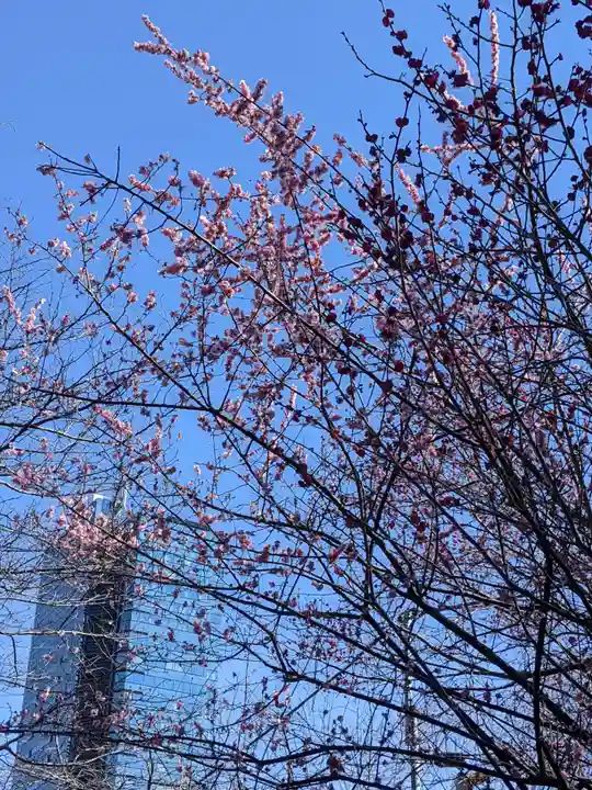 芝東照宮の自然