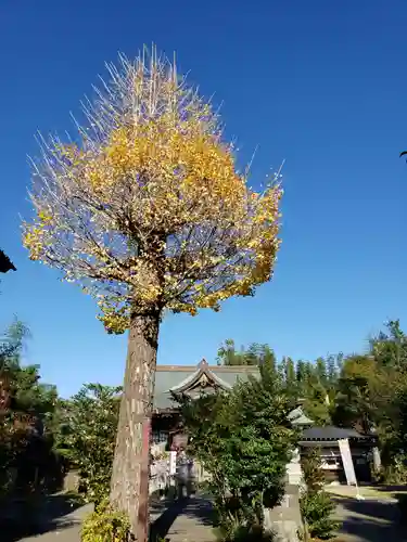 鷺宮八幡神社(東京都)