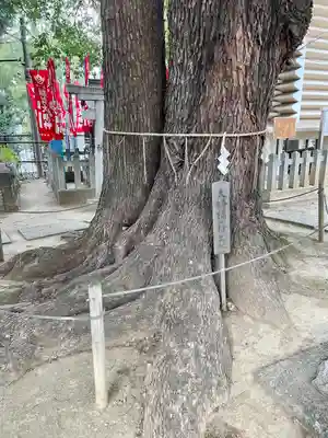 諏訪神社(東京都)