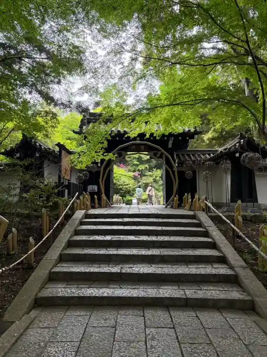 よみうりランド観音の{uncategorized: "未分類", other: "その他", undefined: "問題あり", building: "その他建物", grave: "お墓", sacred_gate: "鳥居", guardian: "狛犬", statue: "像", buddha: "仏像", history: "歴史", nature: "自然", garden: "庭園", animal: "動物", pagoda: "塔", temizu: "手水舎", mountain_gate: "山門・神門", sanctuary: "本殿・本堂", subordinate: "末社・摂社", art: "芸術", scenery: "景色", jizo: "地蔵", ema: "絵馬", goshuin: "御朱印", omikuji: "おみくじ", items: "授与品その他", amulet: "お守り", goshuincho: "御朱印帳", eats: "食事", festival: "お祭り", votive_dance: "神楽", shichigosan: "七五三参", wedding: "結婚式", experience: "体験その他", initially: "初詣", around: "周辺", anti_infection: "感染症対策"}