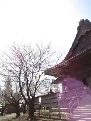 大栄寺(茨城県)