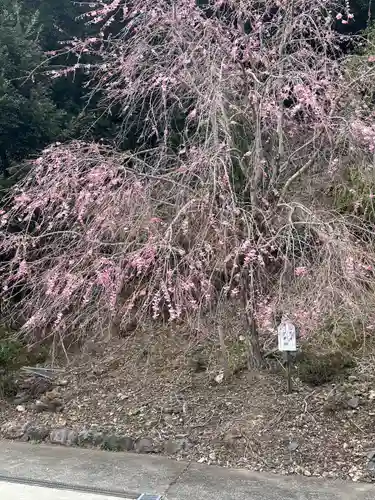 妙祐寺(福井県)