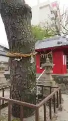 辨天神社の自然