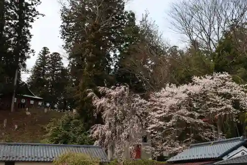 田村神社の景色