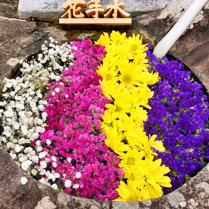 真言宗 善通寺派 薬王寺(香川県)