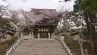 香椎宮の山門・神門