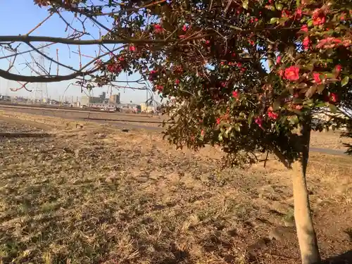 烏杜天神社（楽田天神）の自然