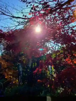 阿佐ヶ谷神明宮(東京都)