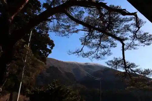 御札神社の景色