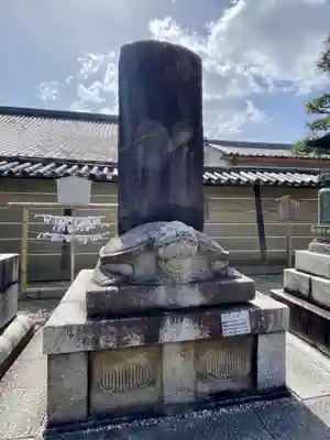 東寺（教王護国寺）(京都府)