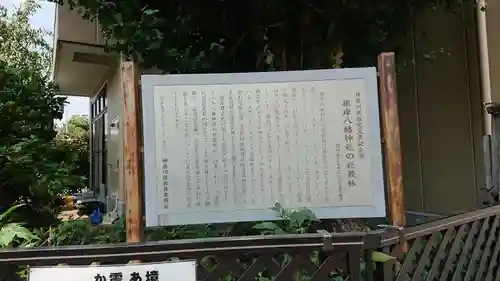 根岸八幡神社の歴史