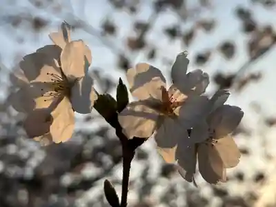 湯島天満宮(長野分社)(長野県)