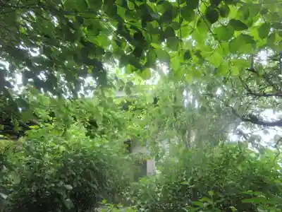 易往寺(神奈川県)