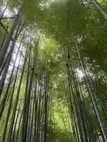 報国寺(神奈川県)