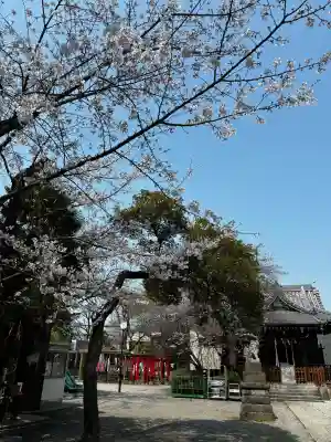 萩中神社の{uncategorized: "未分類", other: "その他", undefined: "問題あり", building: "その他建物", grave: "お墓", sacred_gate: "鳥居", guardian: "狛犬", statue: "像", buddha: "仏像", history: "歴史", nature: "自然", garden: "庭園", animal: "動物", pagoda: "塔", temizu: "手水舎", mountain_gate: "山門・神門", sanctuary: "本殿・本堂", subordinate: "末社・摂社", art: "芸術", scenery: "景色", jizo: "地蔵", ema: "絵馬", goshuin: "御朱印", omikuji: "おみくじ", items: "授与品その他", amulet: "お守り", goshuincho: "御朱印帳", eats: "食事", festival: "お祭り", votive_dance: "神楽", shichigosan: "七五三参", wedding: "結婚式", experience: "体験その他", initially: "初詣", around: "周辺", anti_infection: "感染症対策"}