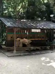 賀茂御祖神社（下鴨神社）(京都府)