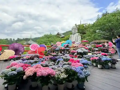 南法華寺（壷阪寺）(奈良県)