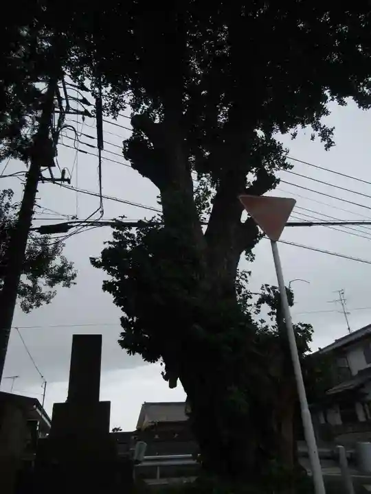 大龍寺(千葉県)