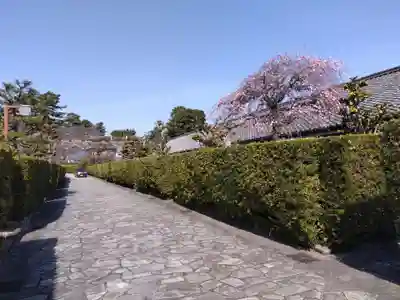 松阪神社(三重県)